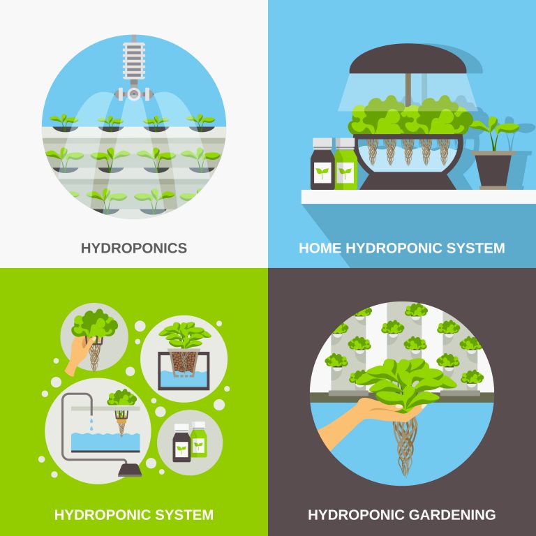 Hydroponics (Soil-Less Cultivation): A Space Effective and Water Efficient Technology for Sustainable Agriculture