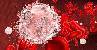 An Analysis of Socio-Demographic and Haematologic Profiles of Platelet Donors at a Tertiary Cancer Centre in South India