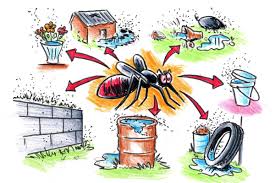 A Descriptive Study on Larval Habitats of Aedes aegypti Mosquito for Predicting Dengue Outbreak and to Provide Preventive Actions in an Urban Area of Bangalore